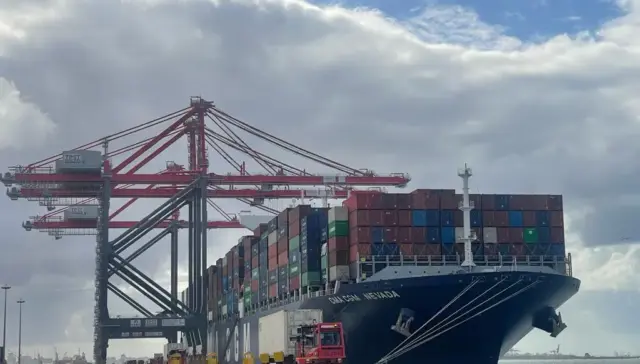 trans misr terminal tmt alexandria