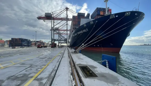 trans misr terminal tmt alexandria