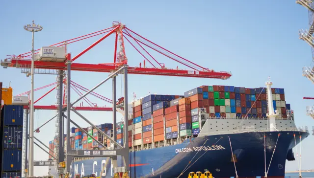 trans misr terminal tmt alexandria