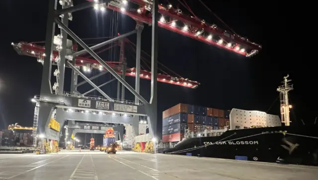 trans misr terminal tmt alexandria