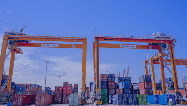 trans misr terminal tmt alexandria