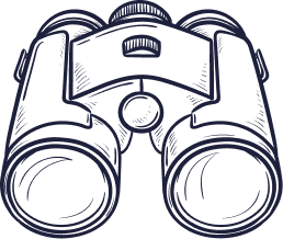 trans misr terminal tmt alexandria